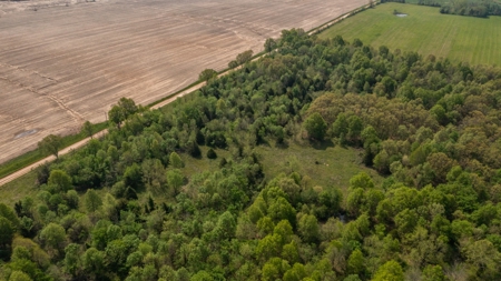 Land For Sale Cedar County Missouri - image 11