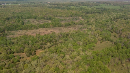 Land For Sale Cedar County Missouri - image 19