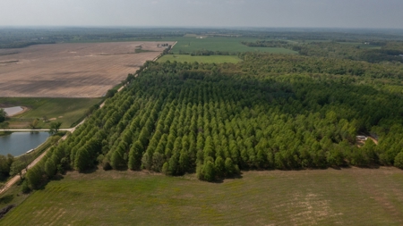 Land For Sale Cedar County Missouri - image 7
