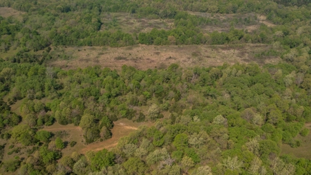 Land For Sale Cedar County Missouri - image 20