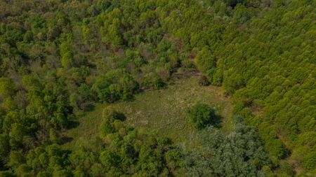 Land For Sale Cedar County Missouri - image 10