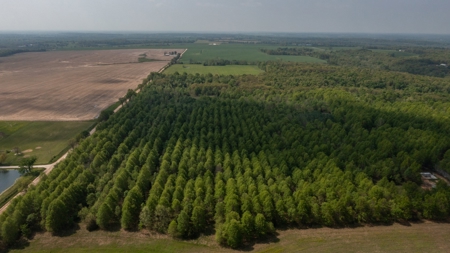Land For Sale Cedar County Missouri - image 8