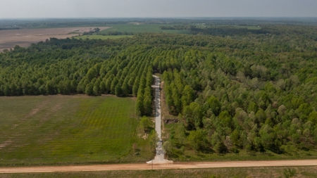 Land For Sale Cedar County Missouri - image 3