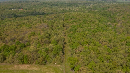 Land For Sale Cedar County Missouri - image 14