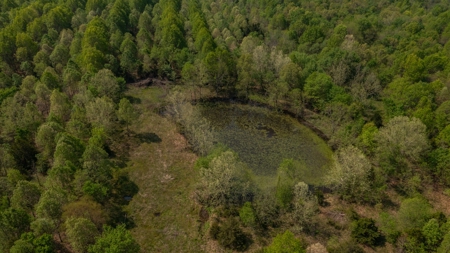 Land For Sale Cedar County Missouri - image 31