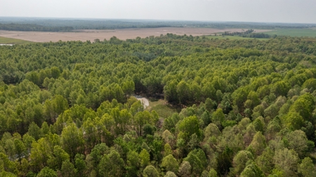 Land For Sale Cedar County Missouri - image 32