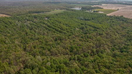 Land For Sale Cedar County Missouri - image 22