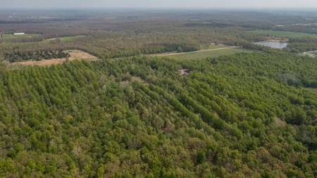 Land For Sale Cedar County Missouri - image 23