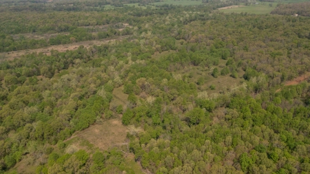 Land For Sale Cedar County Missouri - image 18