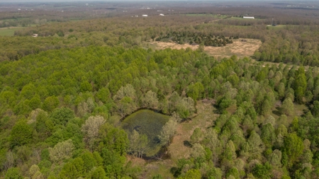 Land For Sale Cedar County Missouri - image 28
