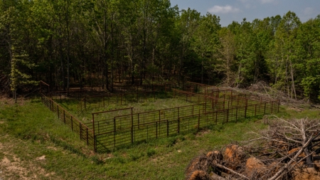 Land For Sale Cedar County Missouri - image 38