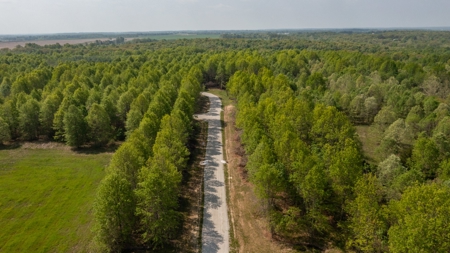 Land For Sale Cedar County Missouri - image 34