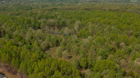 Land For Sale Cedar County Missouri - image 30