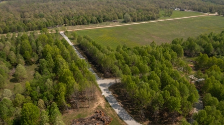 Land For Sale Cedar County Missouri - image 29