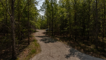 Land For Sale Cedar County Missouri - image 36