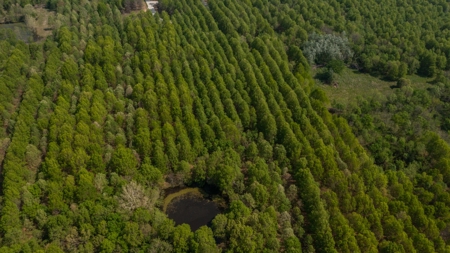 Land For Sale Cedar County Missouri - image 24