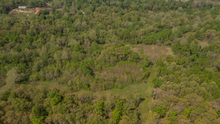 Land For Sale Cedar County Missouri - image 17