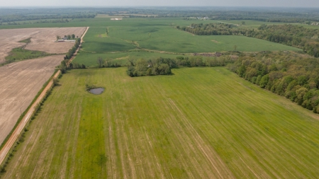 Land For Sale Cedar County Missouri - image 13