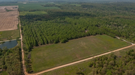 Land For Sale Cedar County Missouri - image 5