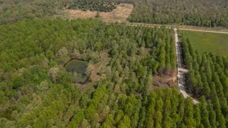 Land For Sale Cedar County Missouri - image 27