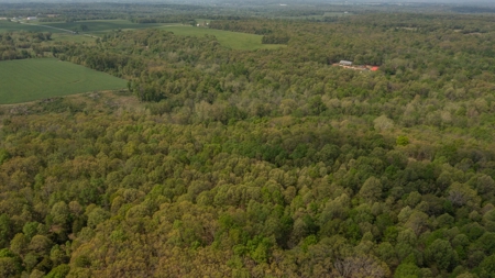 Land For Sale Cedar County Missouri - image 16