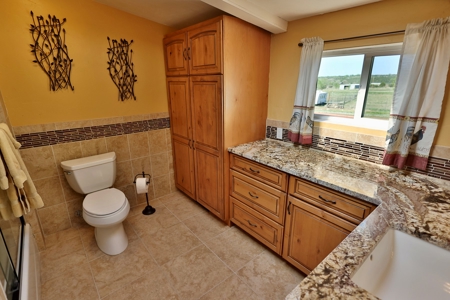 Irrigated Farm and Country Home with Mountain Views - image 27