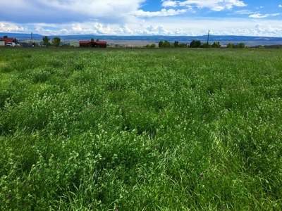 Irrigated Farm and Country Home with Mountain Views - image 36
