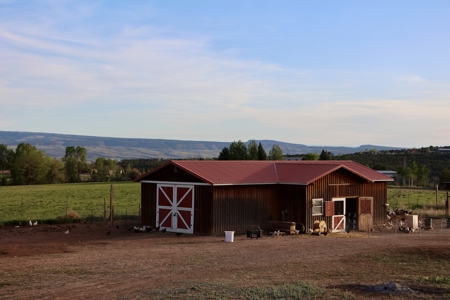 Irrigated Farm and Country Home with Mountain Views - image 11