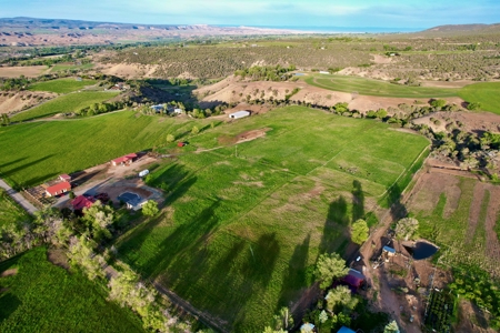 Irrigated Farm and Country Home with Mountain Views - image 44