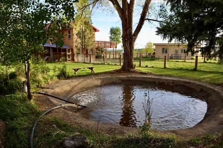 Irrigated Farm and Country Home with Mountain Views - image 6