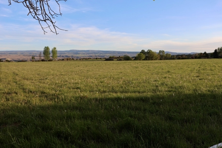 Irrigated Farm and Country Home with Mountain Views - image 14