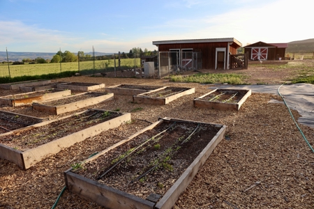 Irrigated Farm and Country Home with Mountain Views - image 13