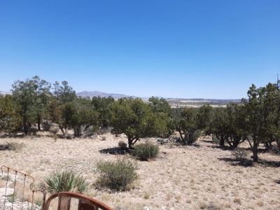 Amazing Views - image 3