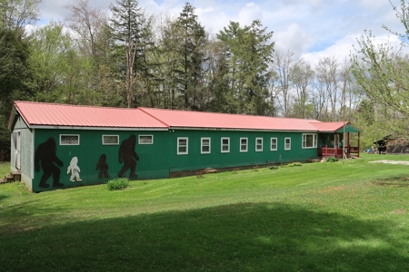 Absolute Real Estate Auction - image 1