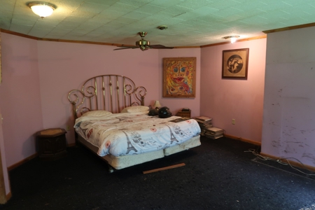 Absolute Real Estate Auction - image 13