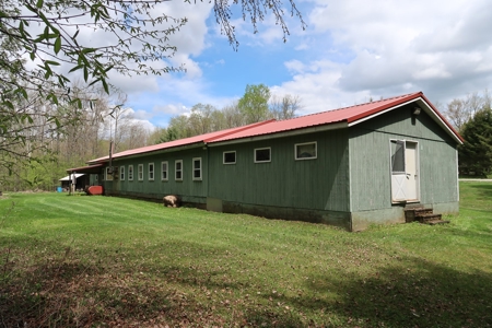 Absolute Real Estate Auction - image 2
