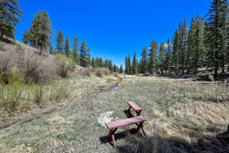 Off Grid Hunting Cabin on 45 Acres Bordering National Forest - image 28