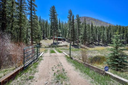 Off Grid Hunting Cabin on 45 Acres Bordering National Forest - image 20