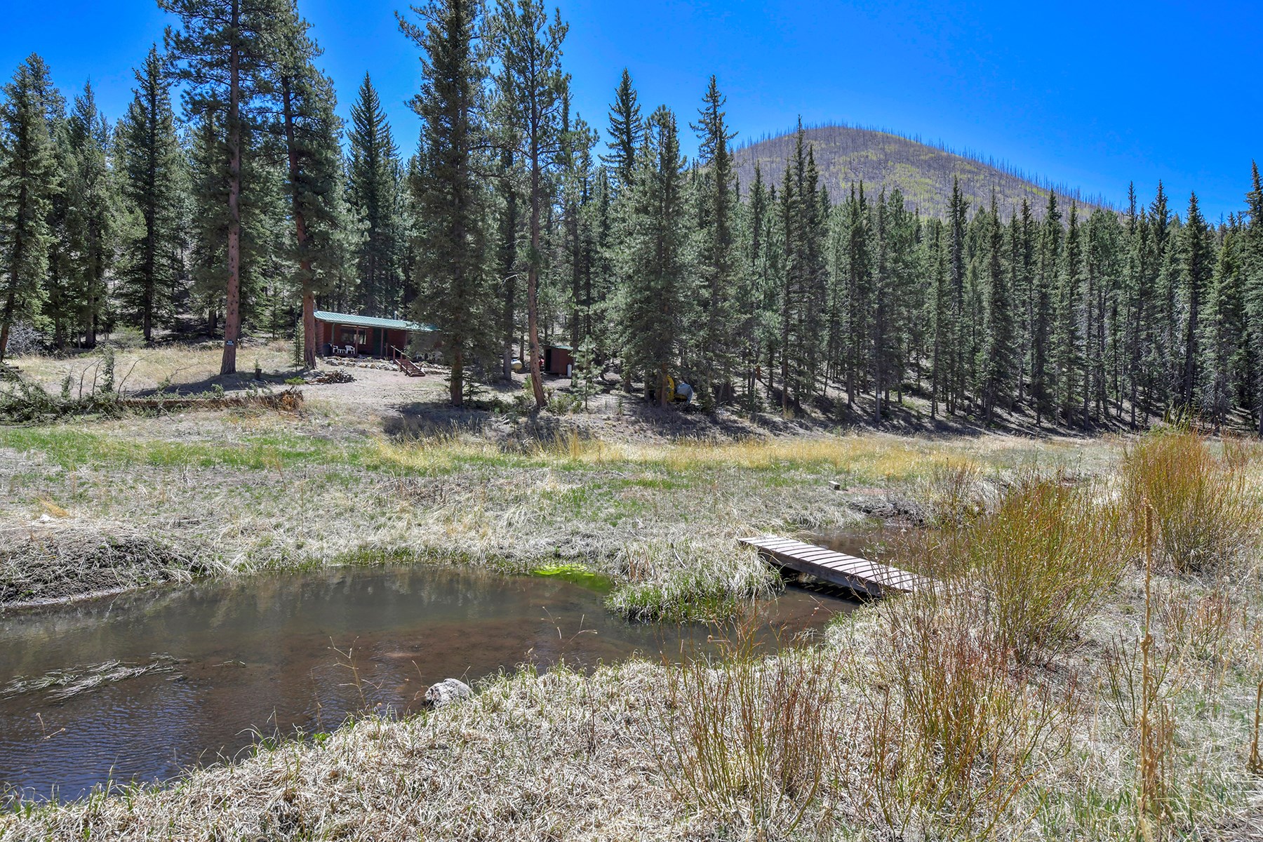 Off Grid Hunting Cabin on 45 Acres Bordering National Forest - image 25