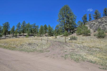 Off Grid Hunting Cabin on 45 Acres Bordering National Forest - image 19