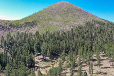 Off Grid Hunting Cabin on 45 Acres Bordering National Forest - image 45