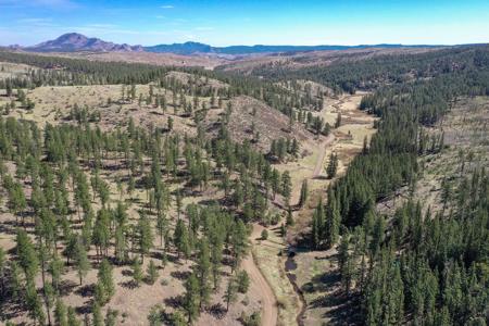 Off Grid Hunting Cabin on 45 Acres Bordering National Forest - image 43