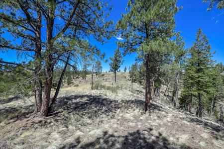 Off Grid Hunting Cabin on 45 Acres Bordering National Forest - image 4