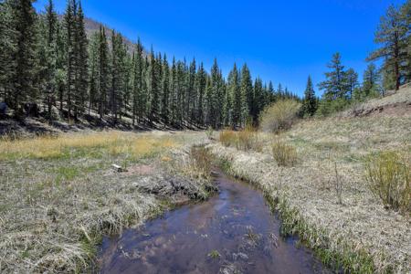 Off Grid Hunting Cabin on 45 Acres Bordering National Forest - image 27