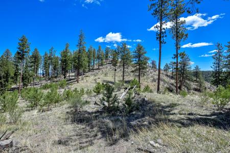 Off Grid Hunting Cabin on 45 Acres Bordering National Forest - image 12