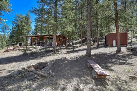 Off Grid Hunting Cabin on 45 Acres Bordering National Forest - image 30