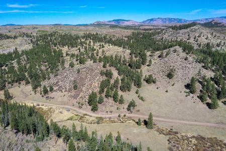 Off Grid Hunting Cabin on 45 Acres Bordering National Forest - image 50