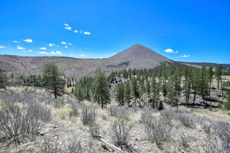 Off Grid Hunting Cabin on 45 Acres Bordering National Forest - image 16