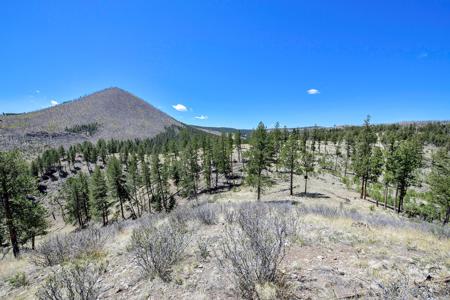 Off Grid Hunting Cabin on 45 Acres Bordering National Forest - image 15