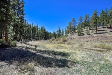 Off Grid Hunting Cabin on 45 Acres Bordering National Forest - image 22